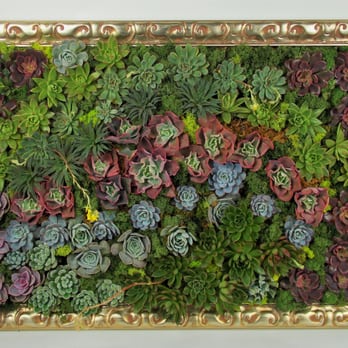 Florida Cactus - With  help and advice from the Florida Cactus team we selected plants to create this beautiful living plant "painting".  Thanks! - Nurseries & Gardening Near Me - Apopka, Florida