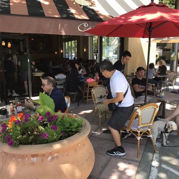 Cafe M - Patio - Breakfast & Brunch Near Me - Berkeley, California Cafe M - Patio - Breakfast & Brunch Near Me - Berkeley, California