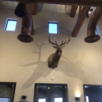 Eduardo's BBQ Steaks & Mexican Grill - The hand Elk ruling over the main dining room. - Mexican Near Me - Laredo, Texas Eduardo's BBQ Steaks & Mexican Grill - The hand Elk ruling over the main dining room. - Mexican Near Me - Laredo, Texas
