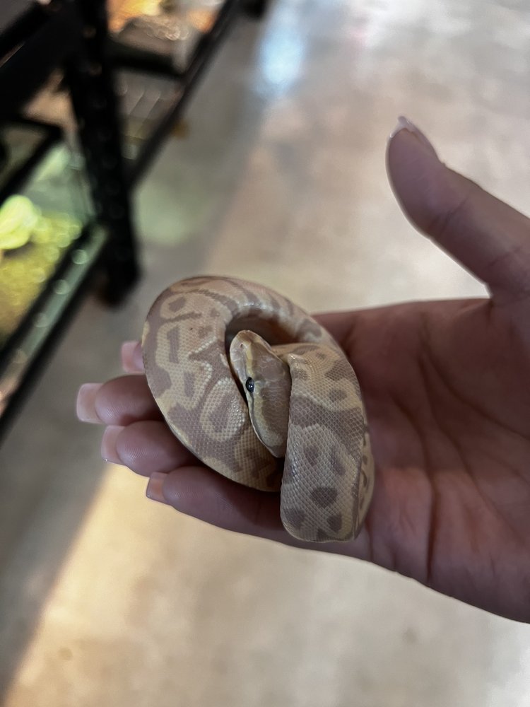 PET ZONE Updated August 2024 12 Photos & 17 Reviews 4324