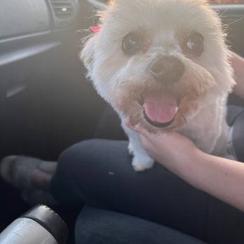 Ma & Paws Pet Grooming - Pet Groomers Near Me - Fontana, California