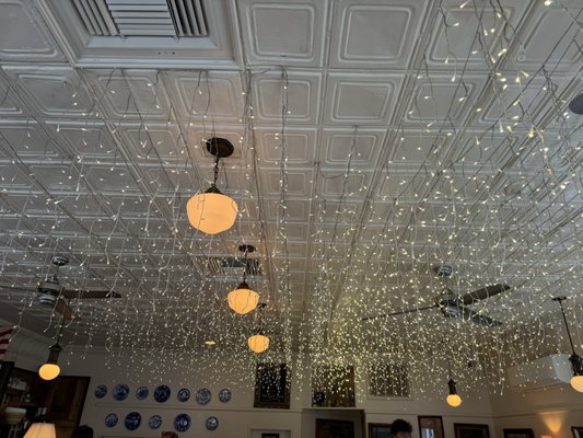 Liz's Cafe Anybody's Bar by null