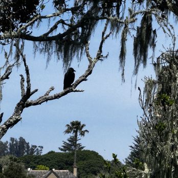 Whale City - Our view from our table out on the patio. - Breakfast & Brunch Near Me - Aptos, California