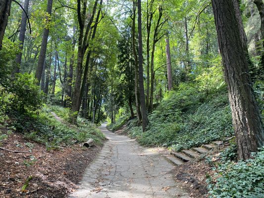 Washington Park by null