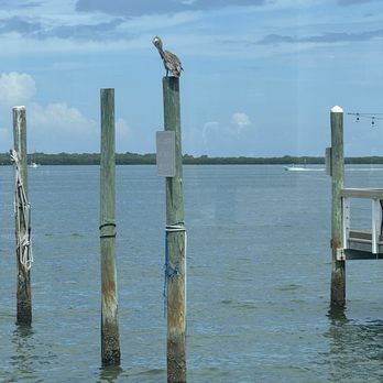 Bon Appetit - The view from the patio - New American Near Me - Dunedin, Florida