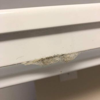 Cedrics Landing - Black mold - Apartments Near Me - Oakdale, Minnesota Cedrics Landing - Black mold - Apartments Near Me - Oakdale, Minnesota
