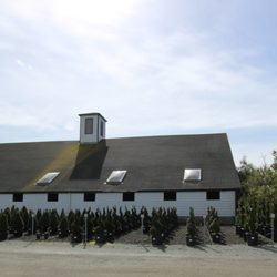 Devil Mountain Wholesale Nursery - Petaluma