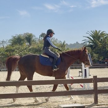 Bridges Equestrian - Horseback Riding Near Me - San Juan Capistrano, California Bridges Equestrian - Horseback Riding Near Me - San Juan Capistrano, California