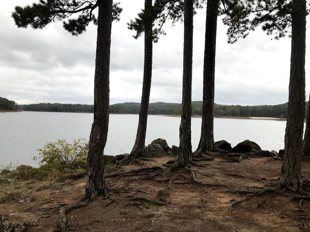 RED TOP MOUNTAIN STATE PARK 181 Photos & 80 Reviews 50 Lodge Rd