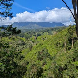 Kauai Hiking Adventures