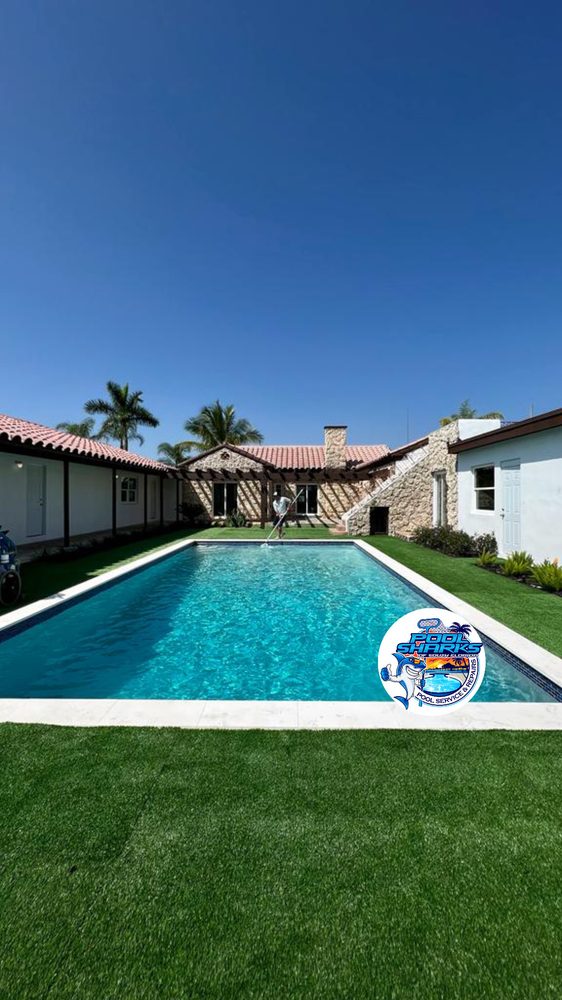 POOL SHARKS OF SOUTH FLORIDA Updated June 2024 10 Photos
