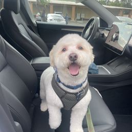 So happy & clean!