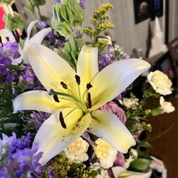 Sugar Magnolia Flower Company