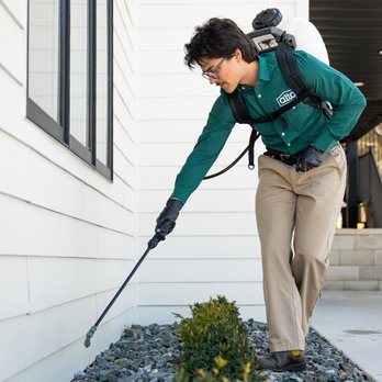 Alta Pest Control - Pest Control Near Me - San Antonio, Texas Alta Pest Control - Pest Control Near Me - San Antonio, Texas