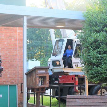 Medrano's Tree Service - a man in a crane - Tree Services Near Me Medrano's Tree Service - a man in a crane - Tree Services Near Me