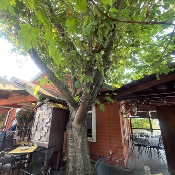 Girardi's Osteria - Great food, great service.  Nice patio sitting and it's always great. - Italian Near Me - Edmonds, Washington