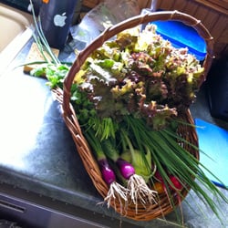 EverGood Farm - Amazing fresh produce.