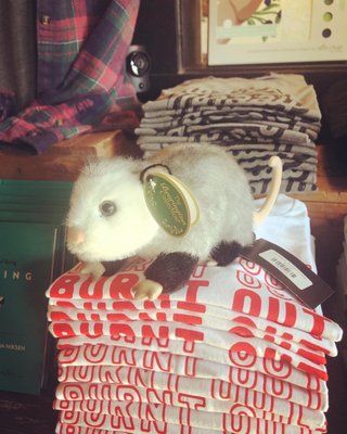 Kin Ship Goods by null