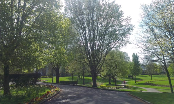 People's Park by null