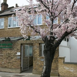 Really Nice Dentist
