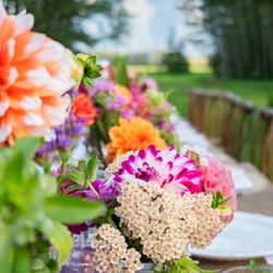 All Dahlia'd Up Flower Farm - A shot from our September Dinner Tour. A truly unique Alaska Farm Experience.