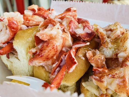 Bite into Maine by null