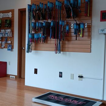 McMonigle Veterinary Hospital Pllc - Veterinarians Near Me - Kent, Washington McMonigle Veterinary Hospital Pllc - Veterinarians Near Me - Kent, Washington