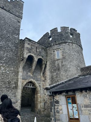 Cahir Castle by null