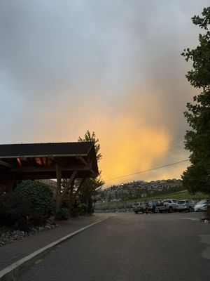 Old Vines Restaurant @ Quails' Gate Winery by null