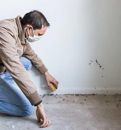Asbestos Mold Inspections Rockport-Corpus Christi - mold inspector in Corpus Christi, TX