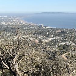 Temescal Gateway Park - From top overlook