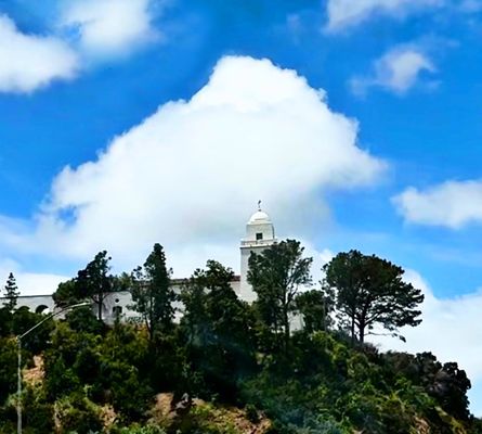 Presidio Park by null