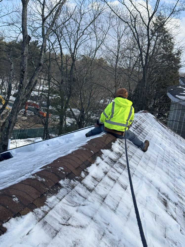 RM Affordable Landscaping - tree service in Waltham, MA