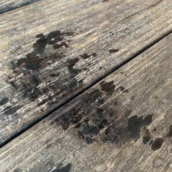 Big Daddy's Grill - The grease stain from my catfish after soaking through three paper towels - Seafood Near Me - Fairhope, Alabama Big Daddy's Grill - The grease stain from my catfish after soaking through three paper towels - Seafood Near Me - Fairhope, Alabama