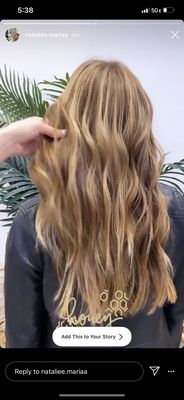 The Blonde Co by null