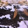 Photo of Aquatic Zoo Tropical Fish