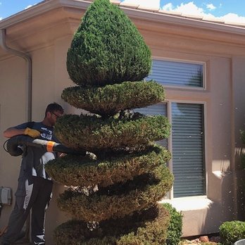 4-Seasons Yard Care - a man trimming a tree - Landscaping Near Me - St. George, Utah 4-Seasons Yard Care - a man trimming a tree - Landscaping Near Me - St. George, Utah