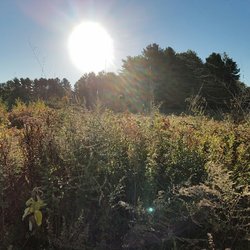 Scarborough River Wildlife Sanctuary