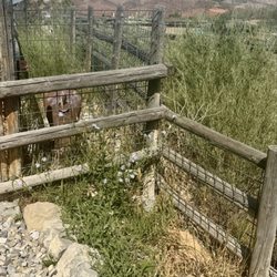 Massage Therapy Cleo - Beautiful rural Utah