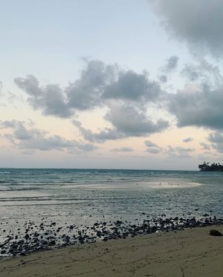 Punaluʻu Beach by null