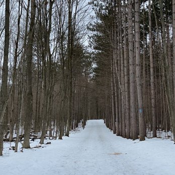 Hilton Falls Conservation Area - Parks Near Me - Milton, Ontario