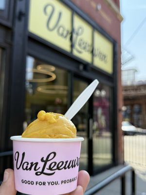 Van Leeuwen Ice Cream by null