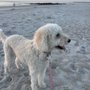 Vilano Beach