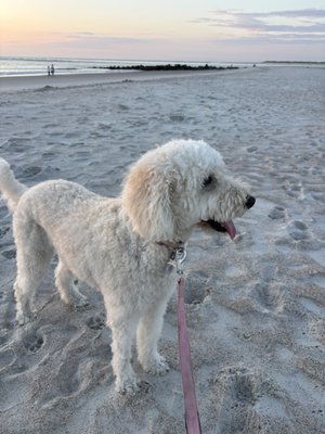 Vilano Beach by null