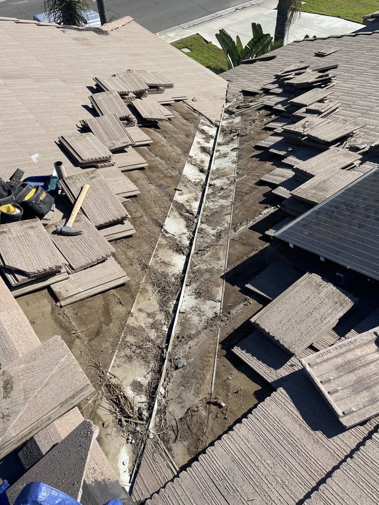 Slide of A J M D Mendoza