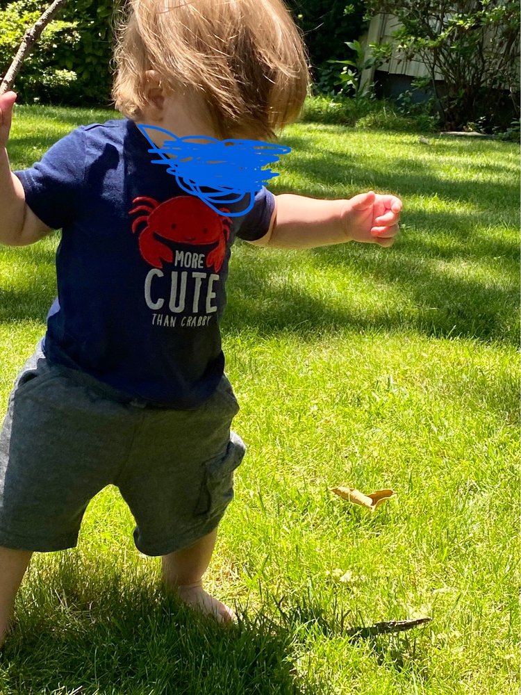 SUPERCUTS Updated September 2024 13 Reviews 540 Hamilton Commons