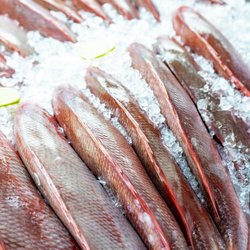 Ocean2fish Seafood Market