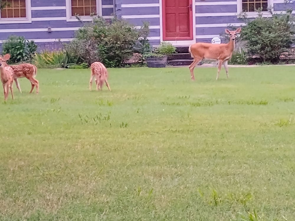 Slide of Handy Solutions