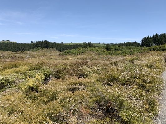 Craters of the Moon by null