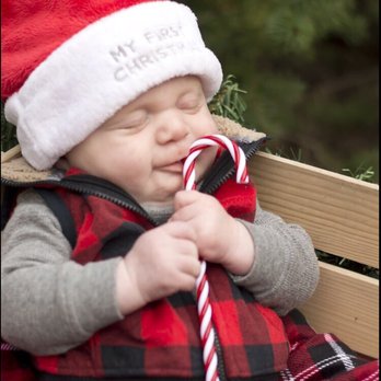 Samuels Studios - Our Christmas card! - Web Design Near Me - Santa Rosa, California Samuels Studios - Our Christmas card! - Web Design Near Me - Santa Rosa, California